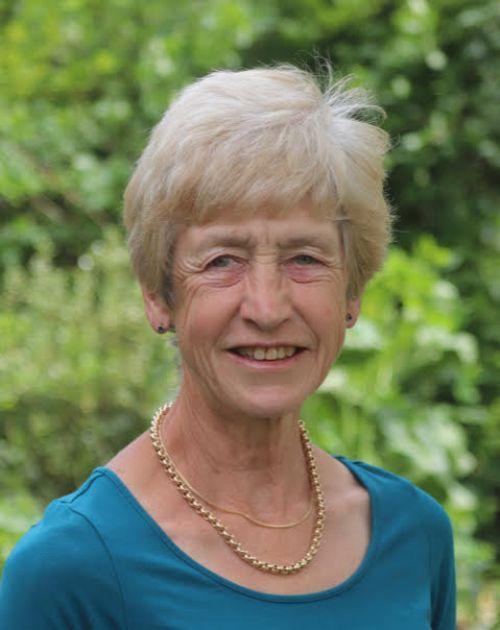 Sue Dyson